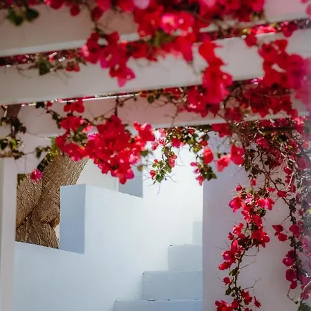Little Orchard *