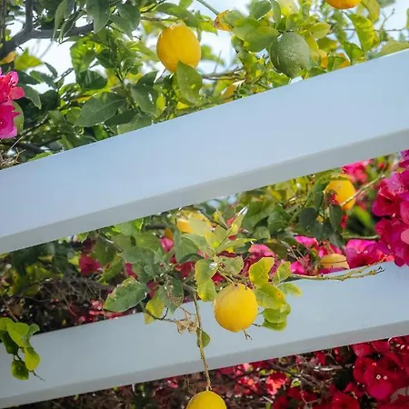 Little Orchard Tatil Evi *